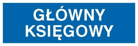 Główny księgowy