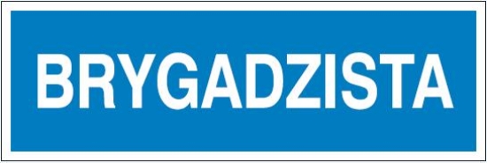 Brygadzista