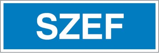 Szef