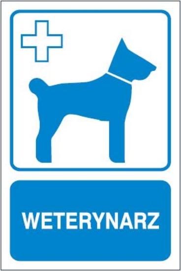 Weterynarz