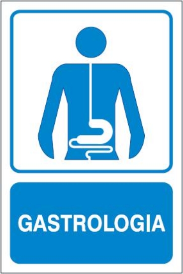Gastrologia