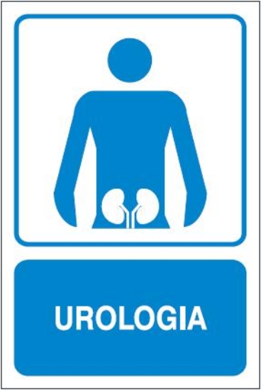 Urologia