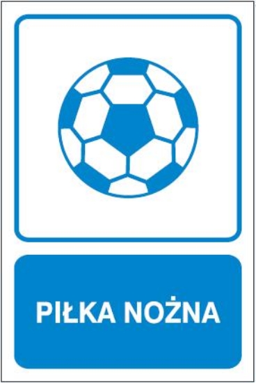 Piłka nożna