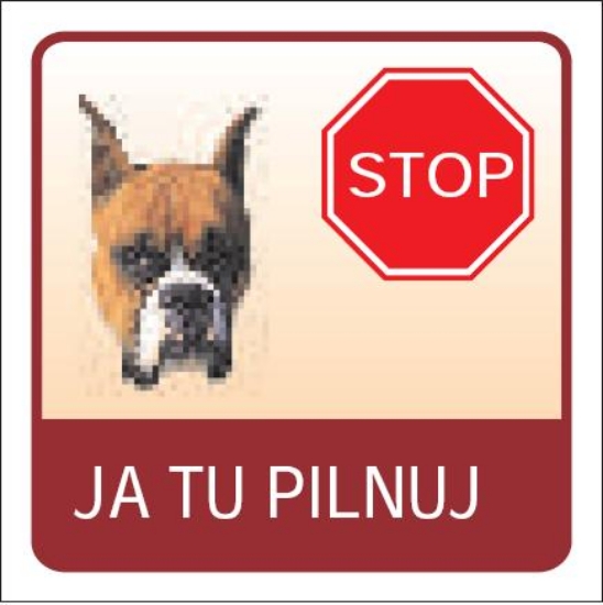 Stop! Ja tu pilnuję