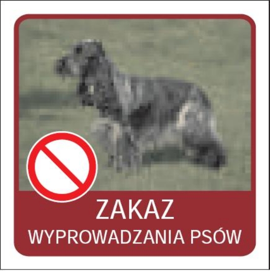 Zakaz wyprowadzania psów.