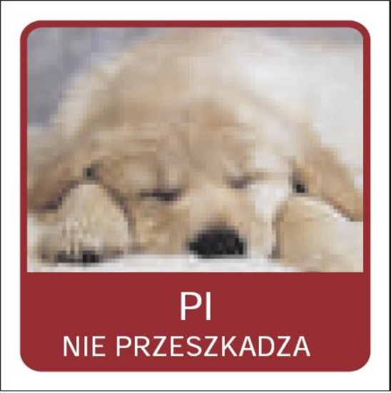 Śpię nie przeszkadzać