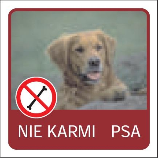 Nie karmić psa