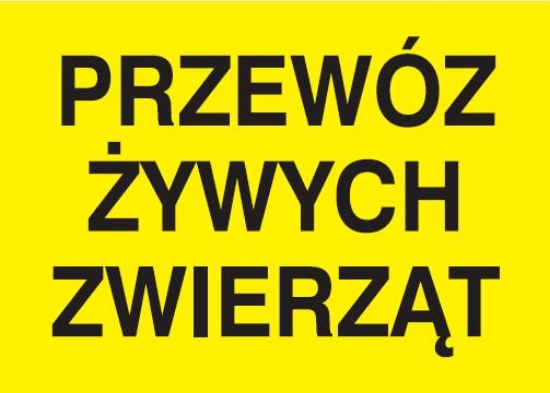 Przewóz żywych zwierząt
