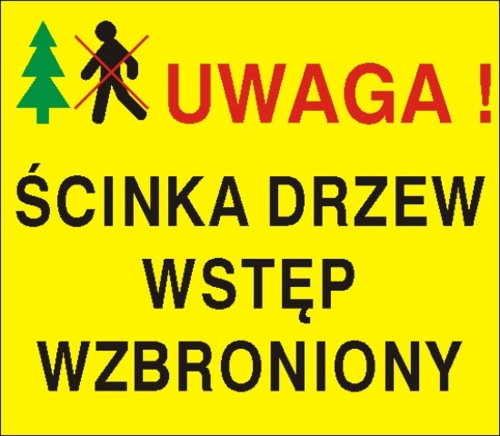 Uwaga. Ścinka drzew. Wstęp wzbroniony