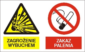 Obrazek dla kategorii Znak Zagrożenie wybuchem. Zakaz palenia (221-10)