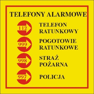 Obrazek dla kategorii Telefony alarmowe (826-02)