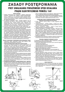 Obrazek dla kategorii Zasady postępowania przy uwalnianiu porażonego spod działania prądu elektrycznego do 1 kV (422-198)