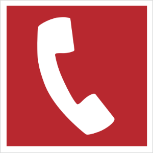 Obrazek dla kategorii Znak Telefon do użycia w stanie zagrożenia (205)