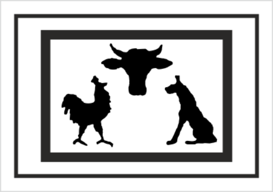 Żywe zwierzęta