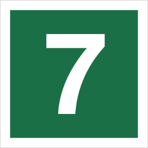 Obrazek dla kategorii Znak Stacja ewakuacyjna nr 7 (120-20)
