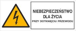 Obrazek dla kategorii Znak Niebezpieczeństwo dla życia przy dotknięciu przewodu (330-06)