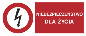 Obrazek dla kategorii Znak Niebezpieczeństwo dla życia (630-01)