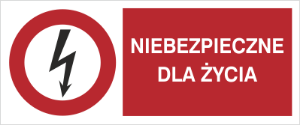 Obrazek dla kategorii Znak Niebezpieczne dla życia (630-09)