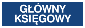 Obrazek dla kategorii Główny księgowy (801-29)