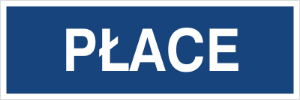 Obrazek dla kategorii Płace (801-81)