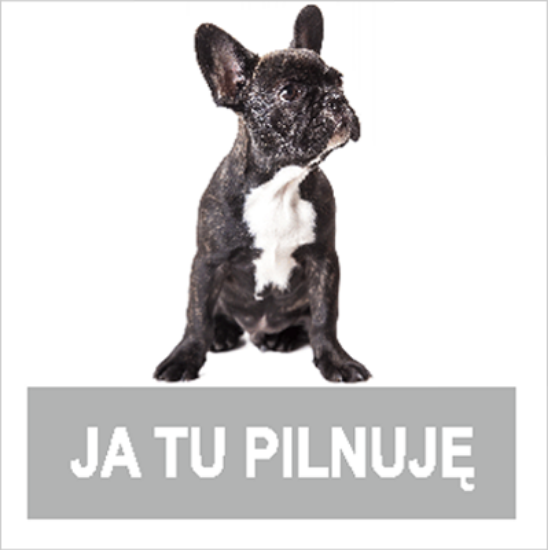 Stop! Ja tu pilnuję