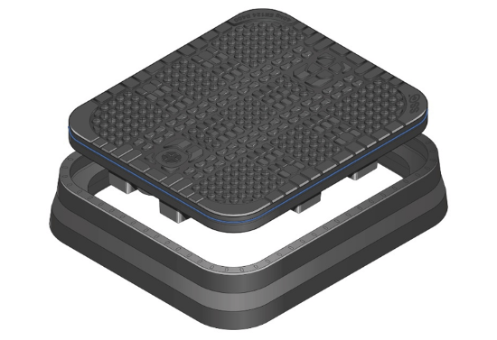DM 6
