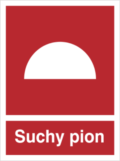 Suchy pion