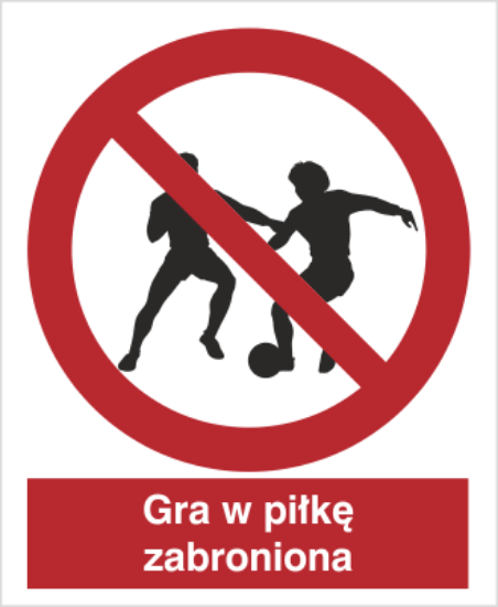 Zakaz gry w piłkę