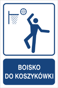 Obrazek dla kategorii Boisko do koszykówki (823-155)