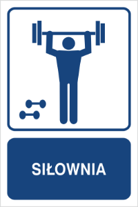 Obrazek dla kategorii Siłownia (823-161)