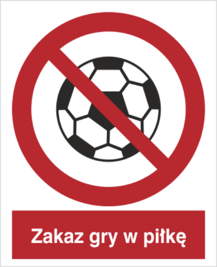 Zakaz gry w piłkę
