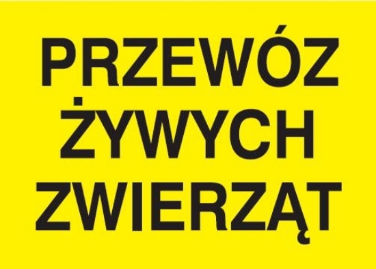 Przewóz żywych zwierząt