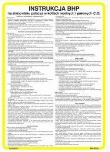 Obrazek dla kategorii Obsługa obsługi nitownicy pneumatycznej (422-202)