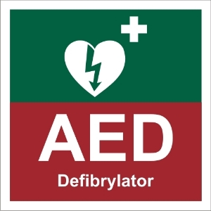 Obrazek dla kategorii Znak defibrylator AED (508-01)