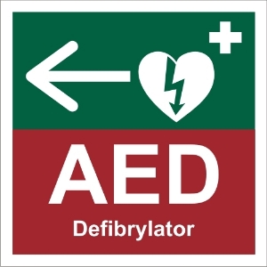 Obrazek dla kategorii Znak defibrylator AED (508-03)