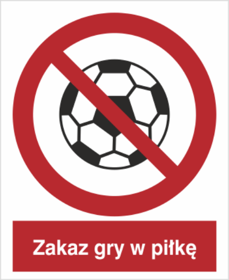 Obrazek Zakaz gry w piłkę (8651XC)