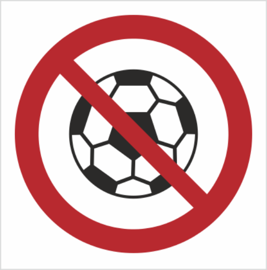 Obrazek Zakaz gry w piłkę (9651K)
