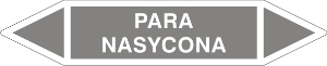 Obrazek dla kategorii Para nasycona (800-159)