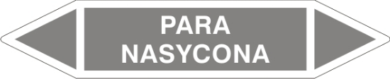 Obrazek Para nasycona (800-159)