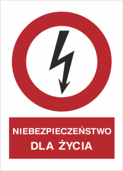 Obrazek Niebezpieczeństwo dla życia (4630H-01)