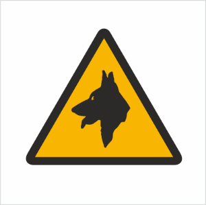 Obrazek dla kategorii Znak Uwaga! Zły pies (309)