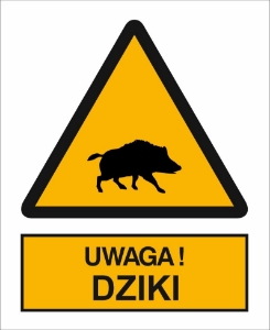 Obrazek dla kategorii Uwaga! Dziki (349)
