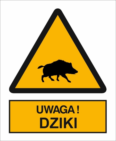 Obrazek Uwaga! Dziki (349)