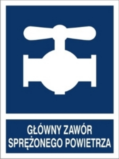 Obrazek Główny zawór sprężonego powietrza (8867M-03)
